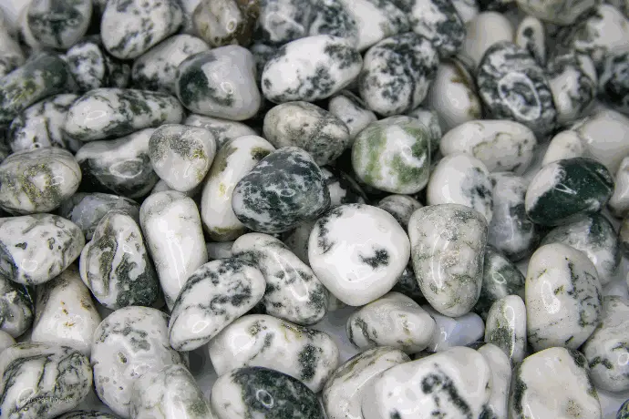 Agate Arbre 250gr