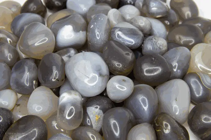 Agate Grise 250gr