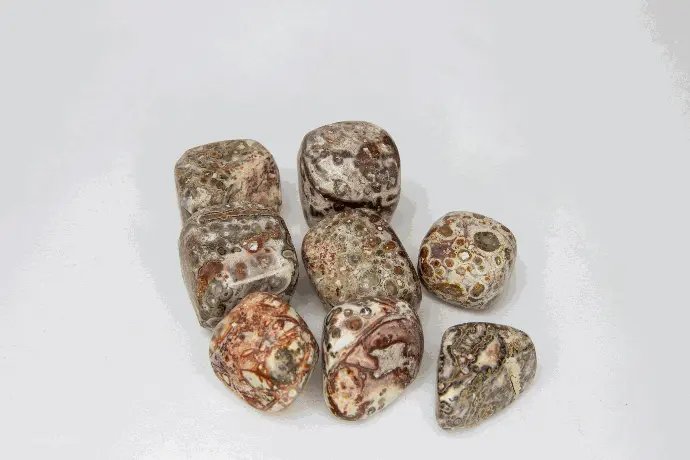 Jaspe Léopard 250gr