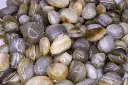 Agate Botswana 250gr