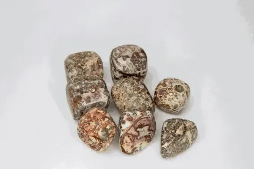 Jaspe Léopard 250gr
