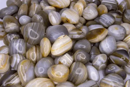 Agate Botswana 250gr